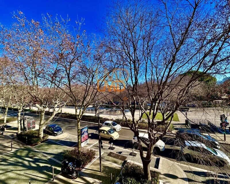  T1, calme, lumineux, centre ville, jardin de la fontaine  - fa92cdc4-50c2-4a20-af00-e800e18ac45a