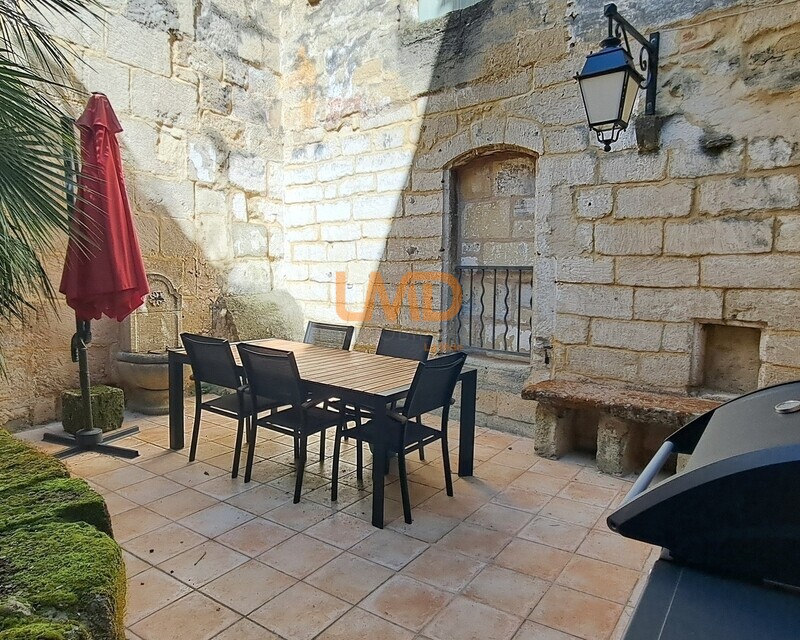 Demeure de charme au coeur de Sommières, Garage, jardinet, terrasse - Jardin