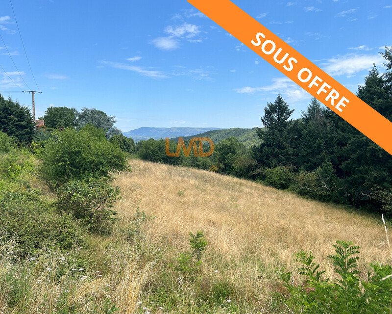 Terrain constructible de 2 536 m² – Mercuer - Martinent terrain c