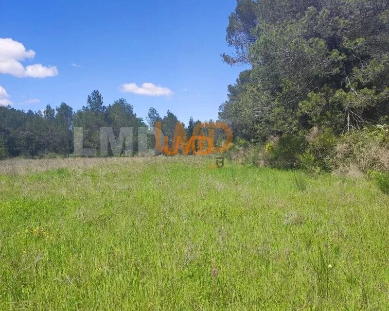 Terrain Agricole et de Loisir - Nature et Espace vert - a2bbcbac-6044-4f69-91db-2f195fcd5dee