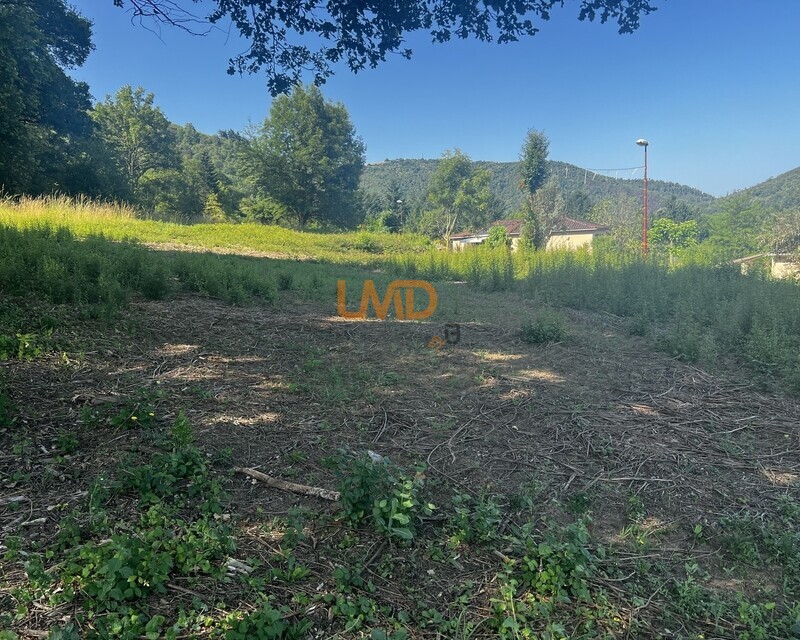 Terrain à bâtir boisse penchot, aveyron - Img 6258
