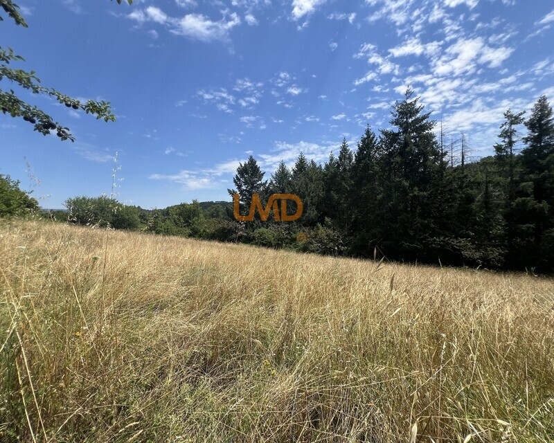 Terrain constructible de 2 162m² – Mercuer - Img 8484