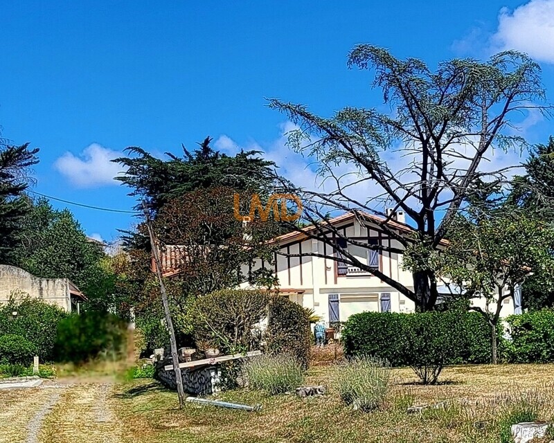 proche Beaumont de Lomagne. Maison aux grands espaces et annexes - 20250730 125608