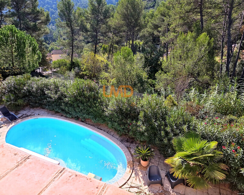 Propriété avec piscine et espace boisé - Piscine sur jardin