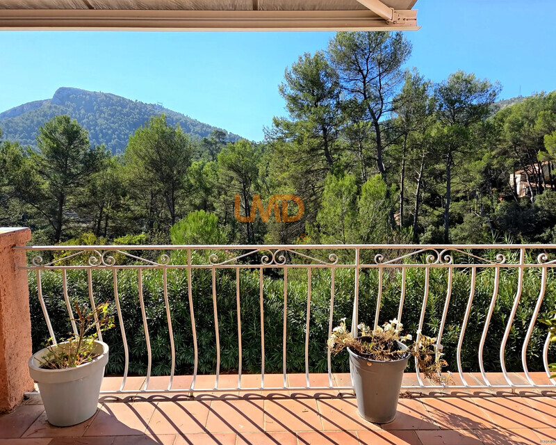 Propriété avec piscine et espace boisé - Terrasse avec vue parc et piscine