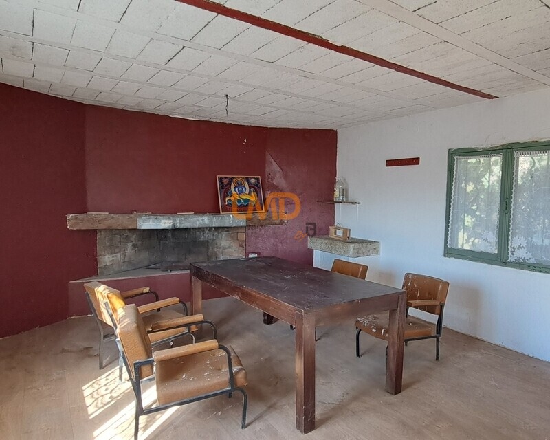 Terrain de loisirs avec mazet - 20251018 140207