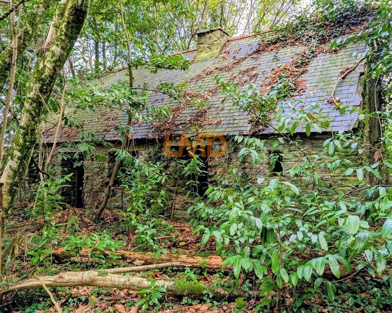 Maison en pierre dans un bois - Maison dans les bois a vendre à Laz