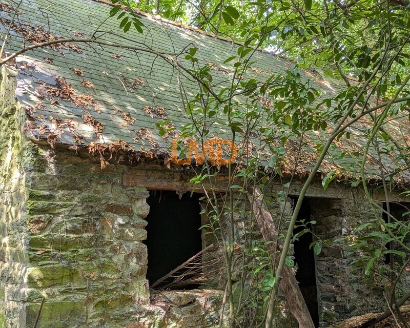 Maison en pierre dans un bois - maison en pierre à rénover à Laz