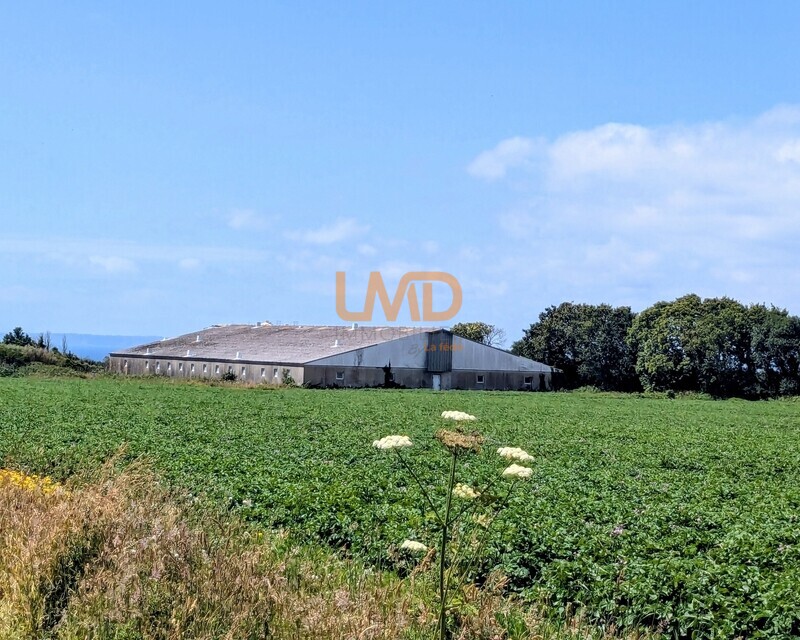 Ancienne Porcherie et Terrain Agricole - ancienne porcherie à vendre avec de la terre agricole proche de Douarnenez