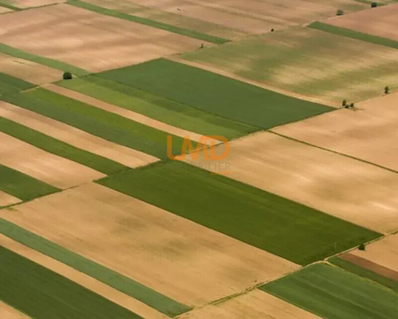 2 parcelles  - 6.9 ha    - pour investisseur  - Photo annoce 