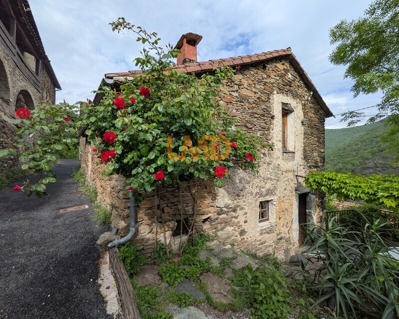 Vue vallée plein sud – Authentique maison cévenole - Pxl 20260430 153357788
