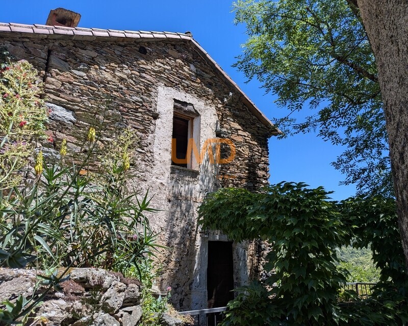Maison de caractère au cœur des Cévennes - Pxl 20260615 121425589.mp