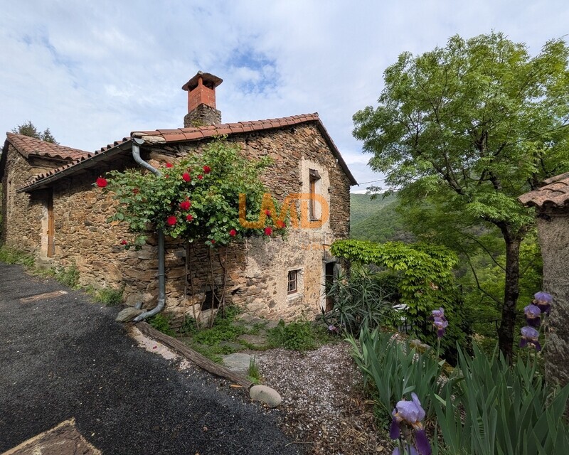 Maison de caractère au cœur des Cévennes - Pxl 20260430 153310050