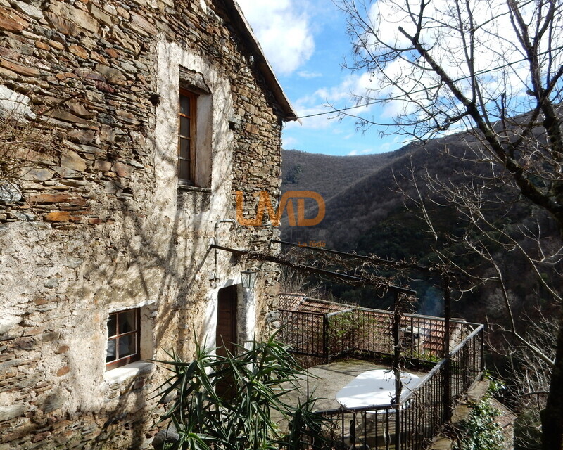 Vue vallée plein sud – Authentique maison cévenole - Dscn4922