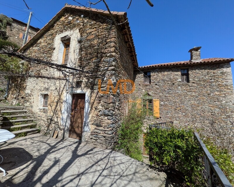 Vue vallée plein sud – Authentique maison cévenole - Pxl 20260403 124928539.mp