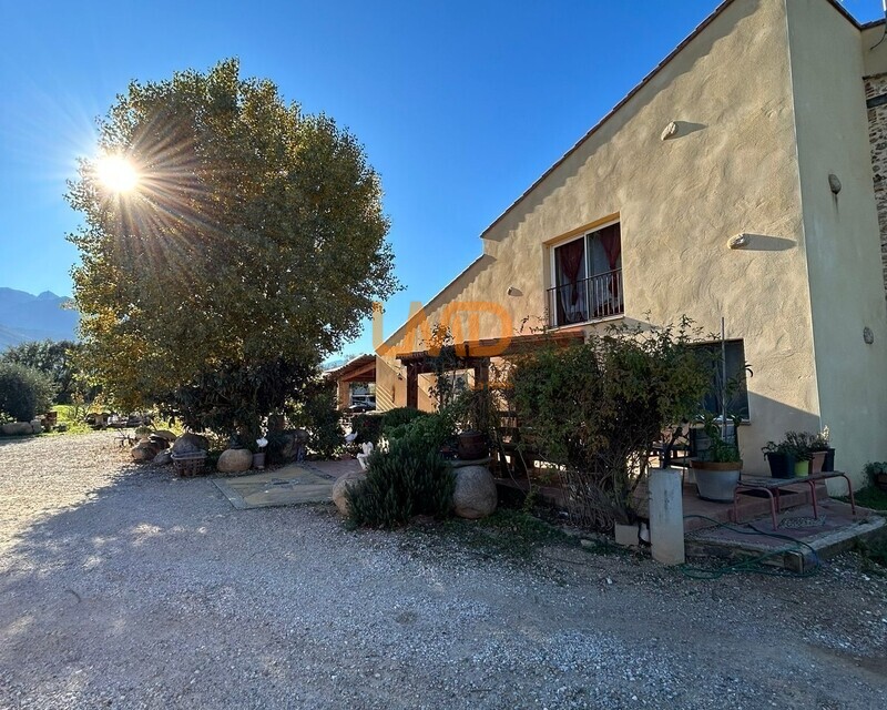 Mas en pleine nature - Img-20241203-wa0058