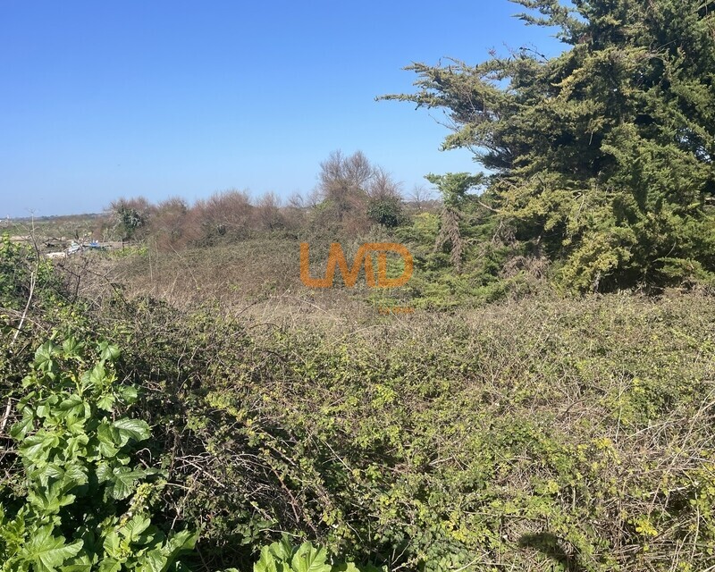 Terrain naturel – Marais – Les Vieux Ports - Img 3218 2