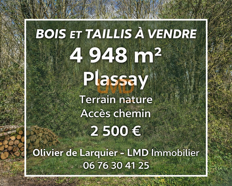 Parcelle de bois Plassay (17250) - Bois ranger