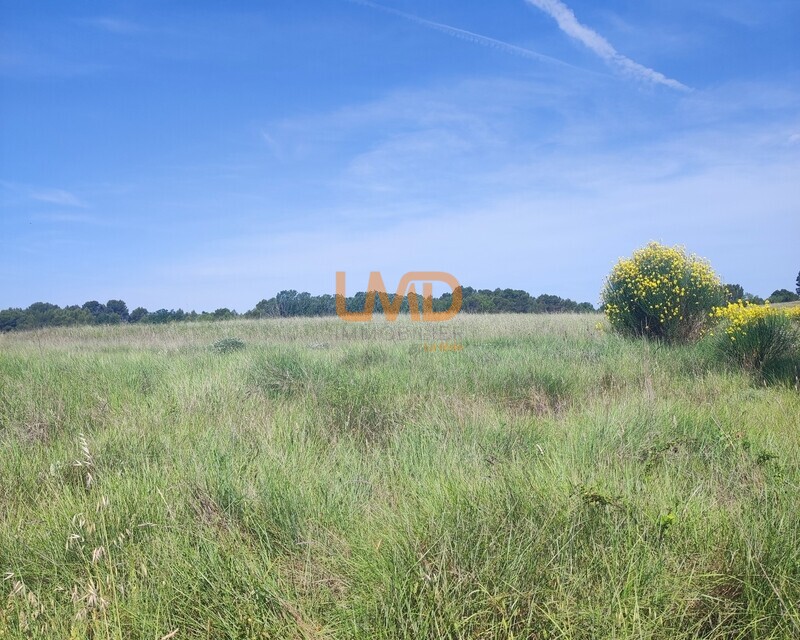 Terrain Agricole et de Loisir - Nature et Espace vert - Img 20260530 095549