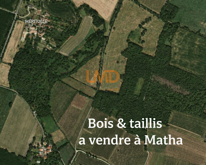 Bois, taillis – 6 361 m² – Matha - Chatgpt image 20 mars 2026  12 18 25