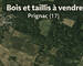 Bois & taillis – Environ 1 hectare – Prignac - Prignac