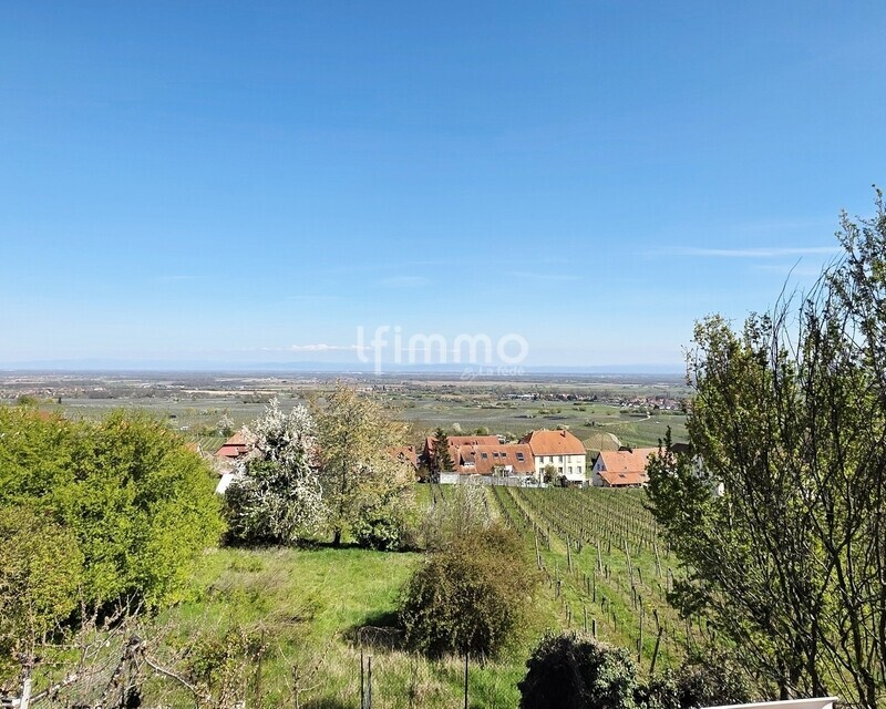 Maison à rénover à Heiligenstein – Vue vignes et fort potentiel - Vue