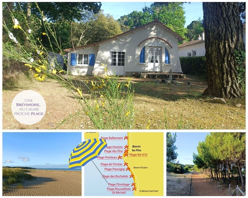Charmante Brévinoise nichée à l'Ermitage - Ermitage 81 m   2 