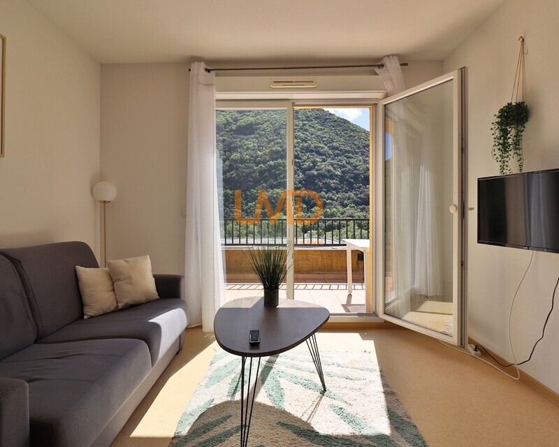 Appartement t2 - 48m2- Terrasse - Station thermale d'Avène - Img 6177