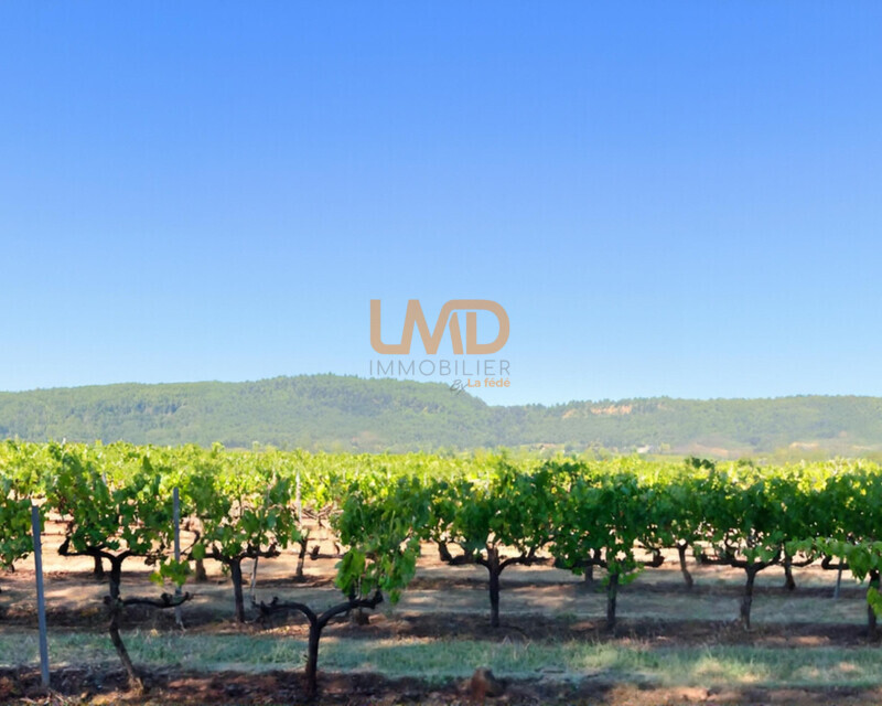 Domaine viticole en Provence avec 3 habitations  18 ha fort potentiel - 6596937b316d0-photo-hd-fotor-20260506192922
