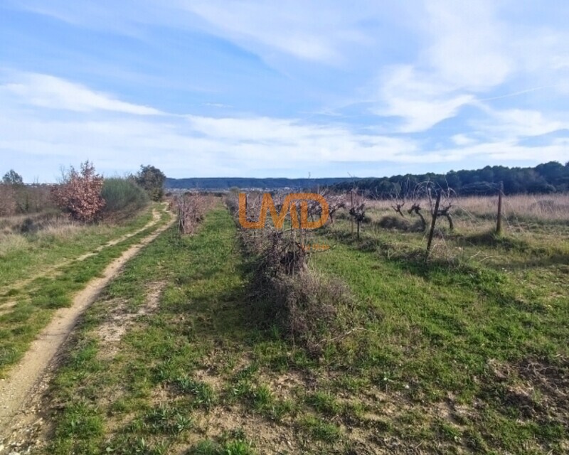 Terrain Agricole et de Loisir - Nature et grand espace  - 1779802798607