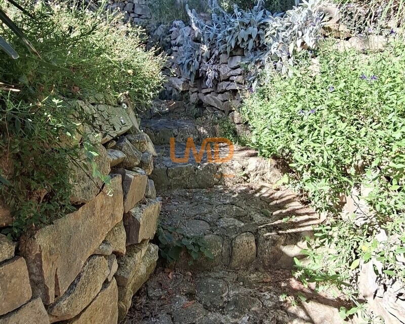 un cocon dans la garrigue - 20260613 093909