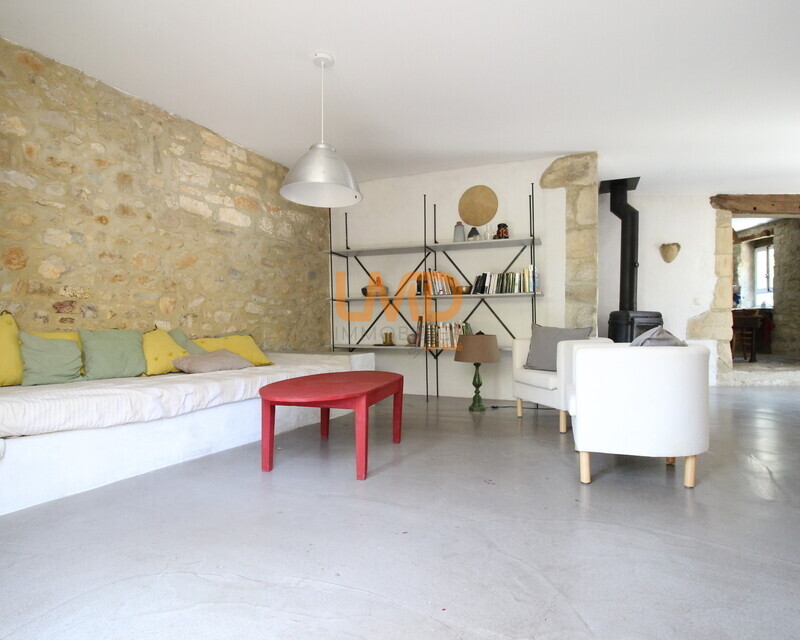 Maison de village de charme - 2 terrasses - Appartement indépendant  - Img 1789