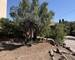 Saint-Aygulf – Villa plain-pied – 200 m de la mer – Terrain 1 250 m² - Img 2921