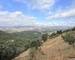 Mas 242 m2 Sur 55 hectares  - Img 7028