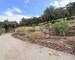 Mas 242 m2 Sur 55 hectares  - Img 7033