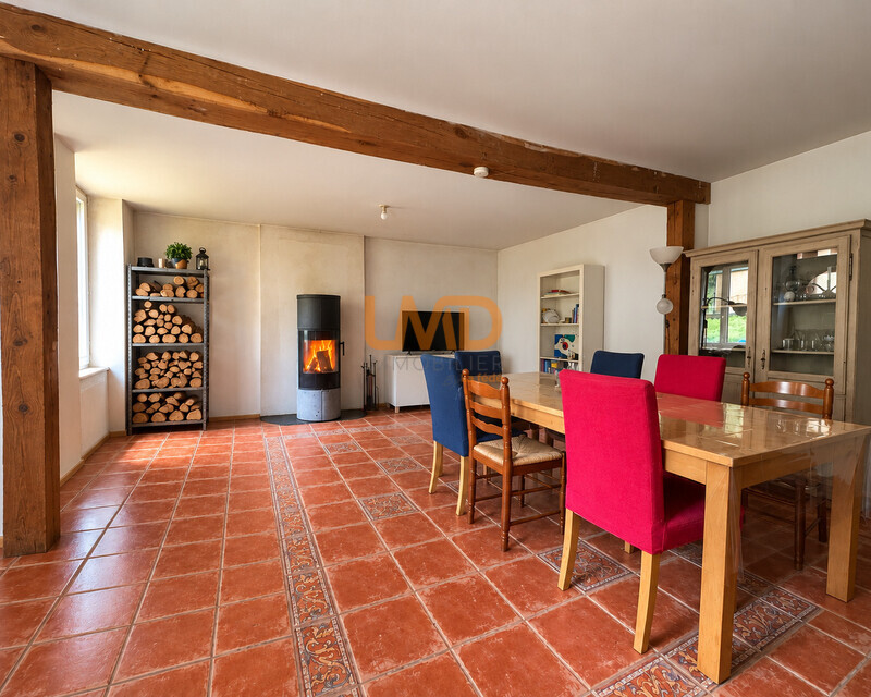 Longere - 4 chambres - 35 min Blois - 18 min Vendôme  - Sejour 4